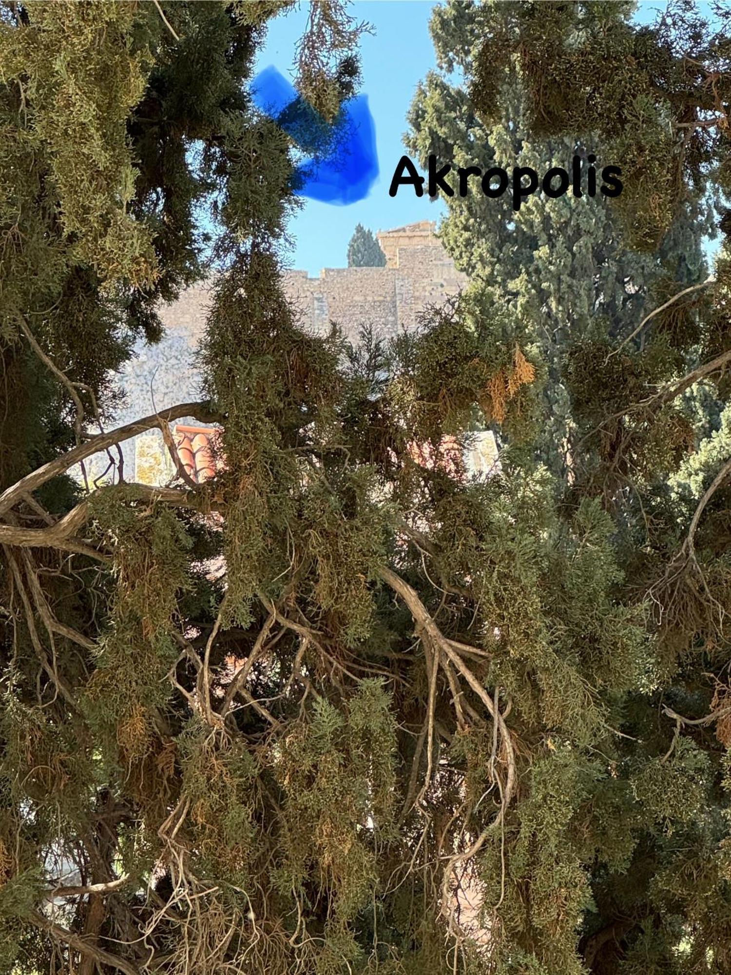 Plaka K15 Apartment Athens Exterior photo